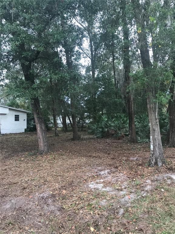 0 NW 14TH WAY LAKE PANASOFFKEE, FL 33538
