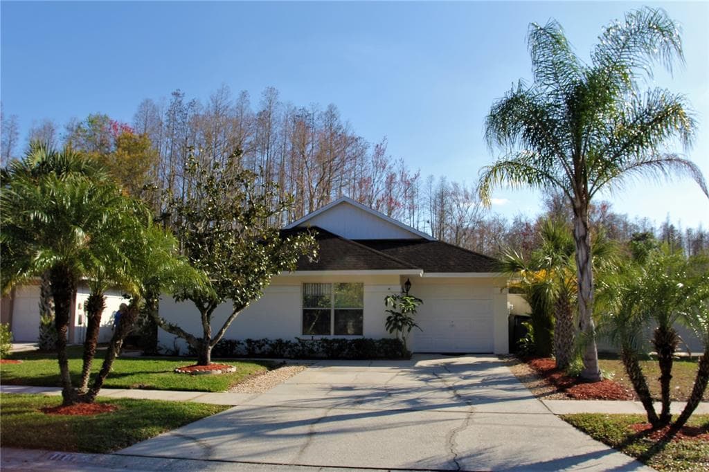 11821 HICKORYNUT DRIVE TAMPA, FL 33625
