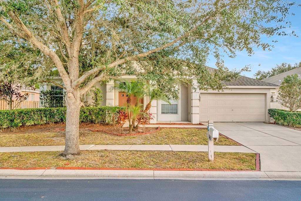 3442 JUNEBERRY DRIVE WESLEY CHAPEL, FL 33543