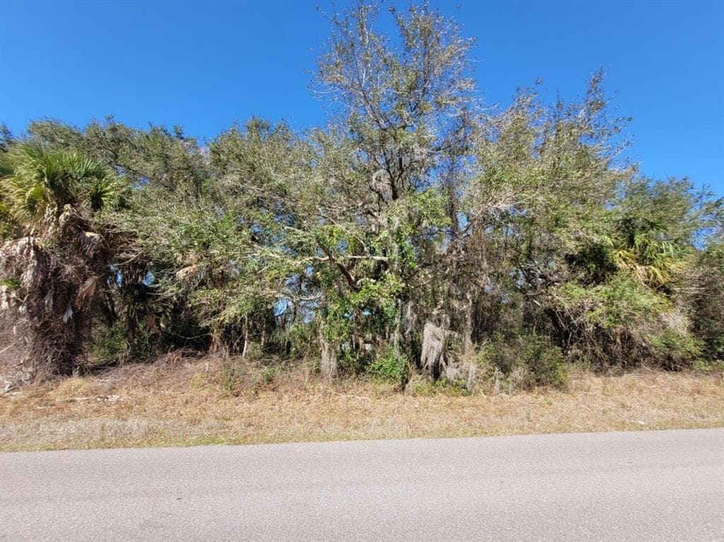 479 EPPINGER DRIVE PORT CHARLOTTE, FL 33953