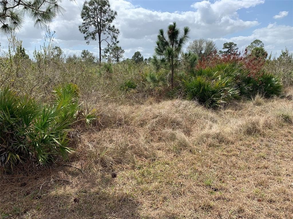 1002 E 9TH STREET LEHIGH ACRES, FL 33972