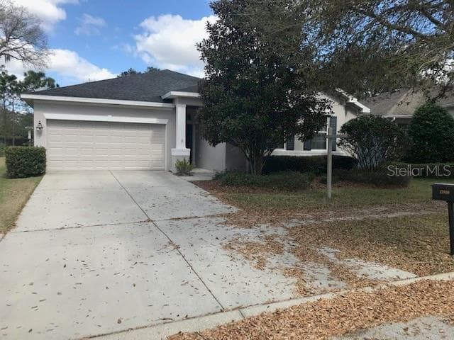15810 STARLING WATER DRIVE LITHIA, FL 33547