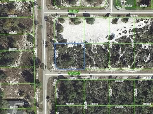 100 BALTIMORE WAY NE LAKE PLACID, FL 33852