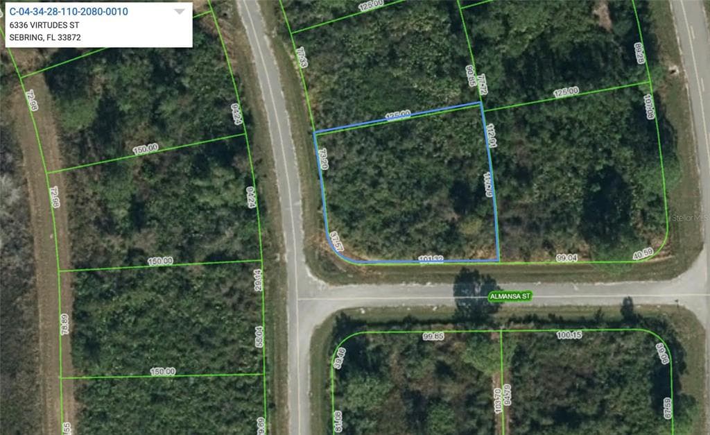 6336 VIRTUDES STREET SEBRING, FL 33872