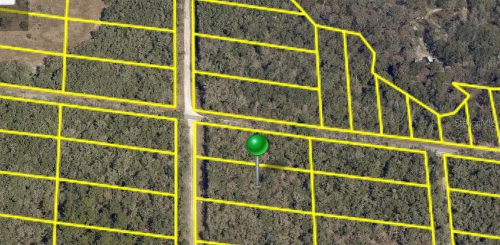 9218 PLYMOUTH ROCK DRIVE WEBSTER, FL 33597