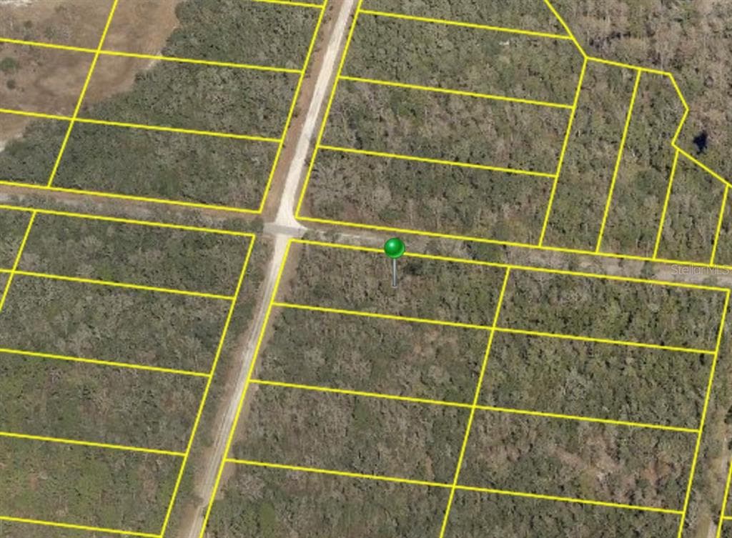 35160 UMBRELLA ROCK DRIVE WEBSTER, FL 33597