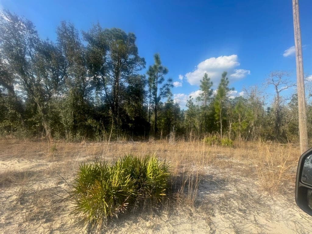 00 NE 76TH ST BRONSON, FL 32621