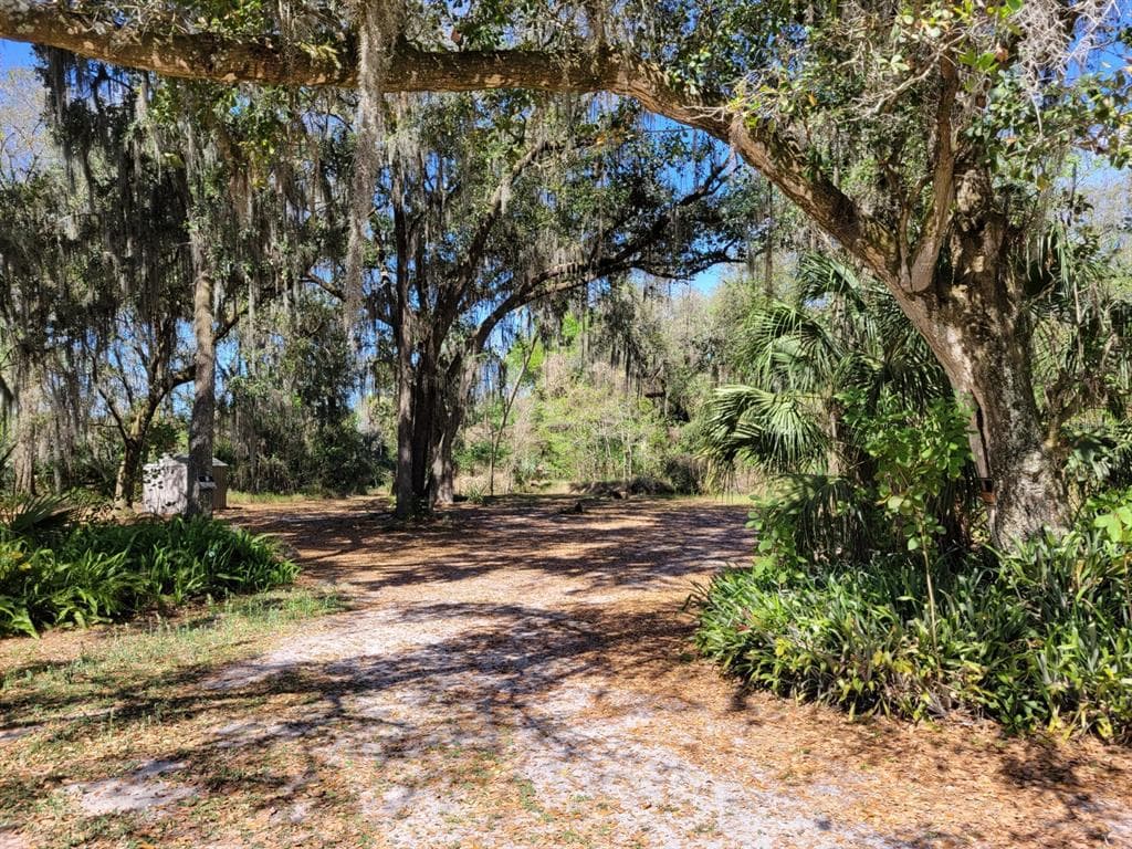 3804 MEDULLA ROAD PLANT CITY, FL 33566