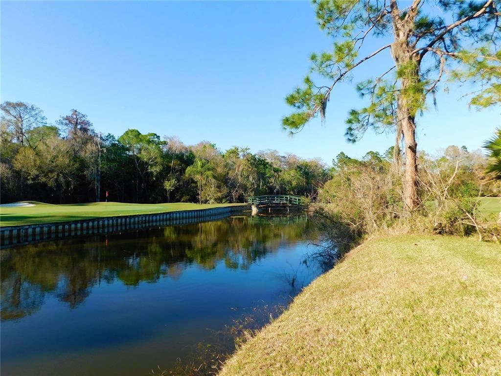 100 SAINT ANDREWS PLACE OLDSMAR, FL 34677