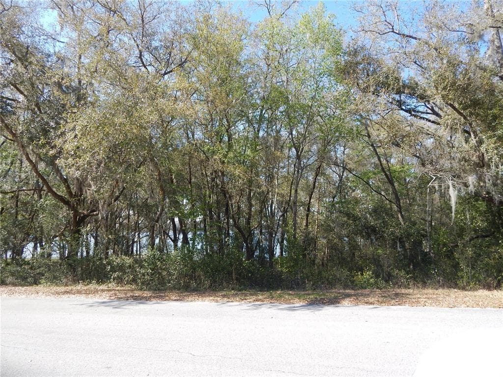 Lots 170.171 SW SHOREWOOD DRIVE DUNNELLON, FL 34431