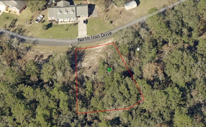 11052 N IRON DRIVE CITRUS SPRINGS, FL 34434