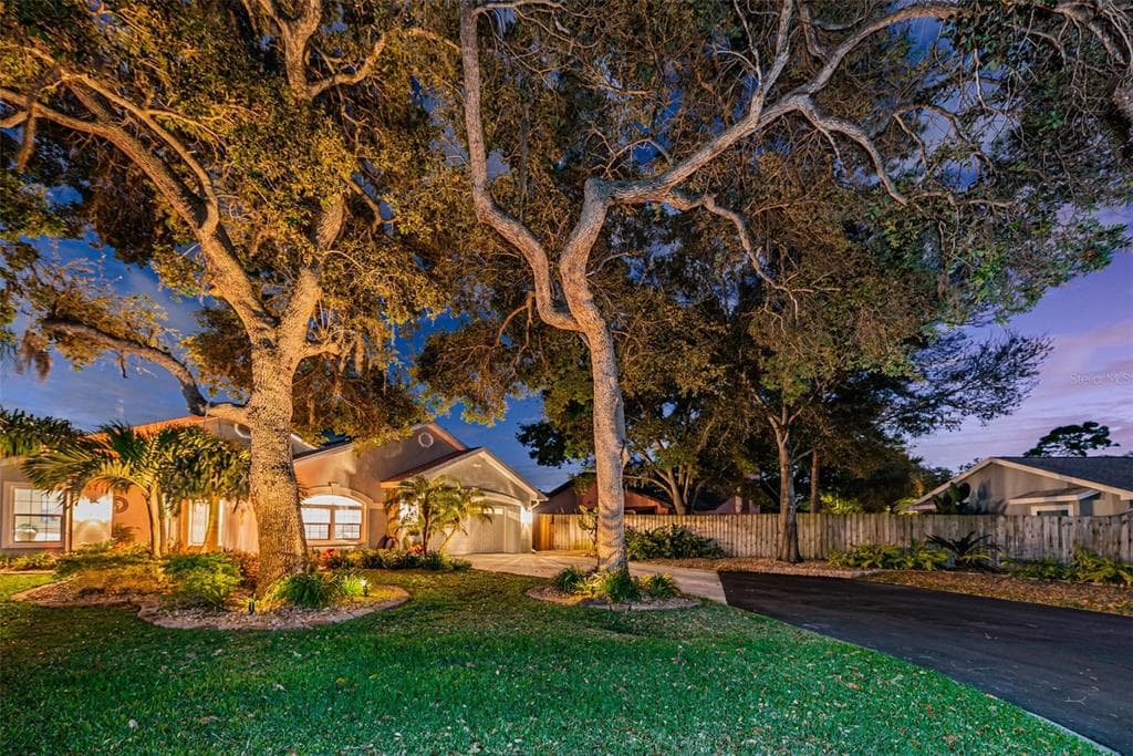 37 ARNONI DRIVE
