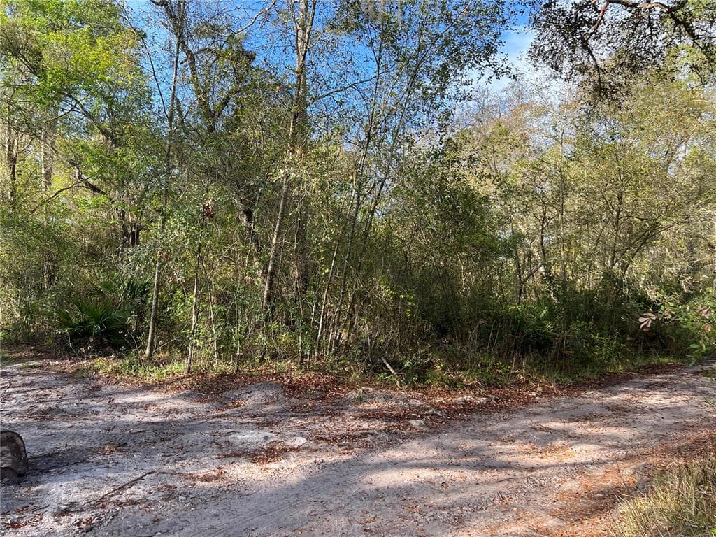 SW 122ND RD AND SW 38TH TER WEBSTER, FL 33597