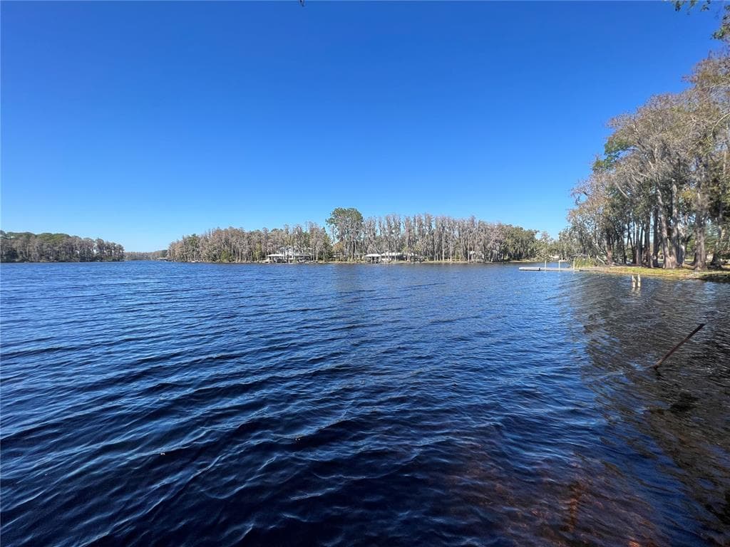 9603 TARPON SPRINGS ROAD