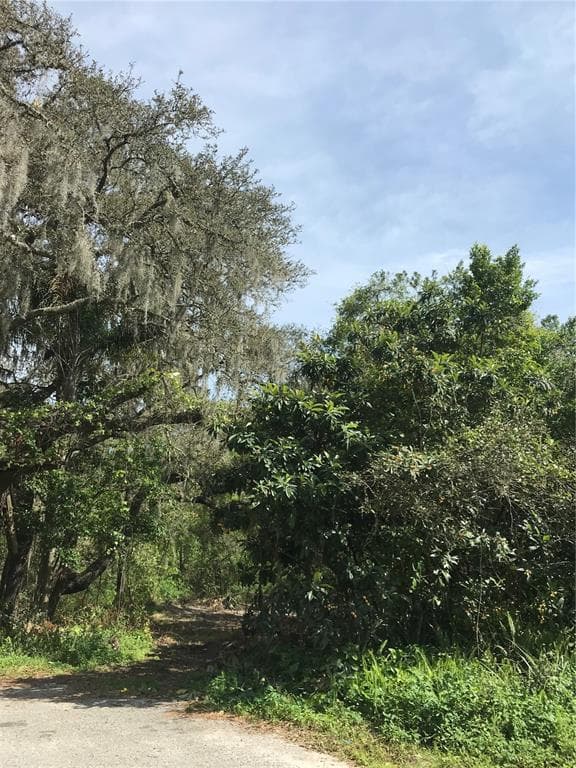 2ND AVENUE LUTZ, FL 33549