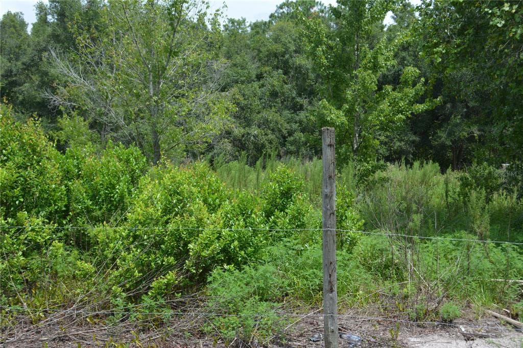 SAINT MARKS LAND O LAKES, FL 34638