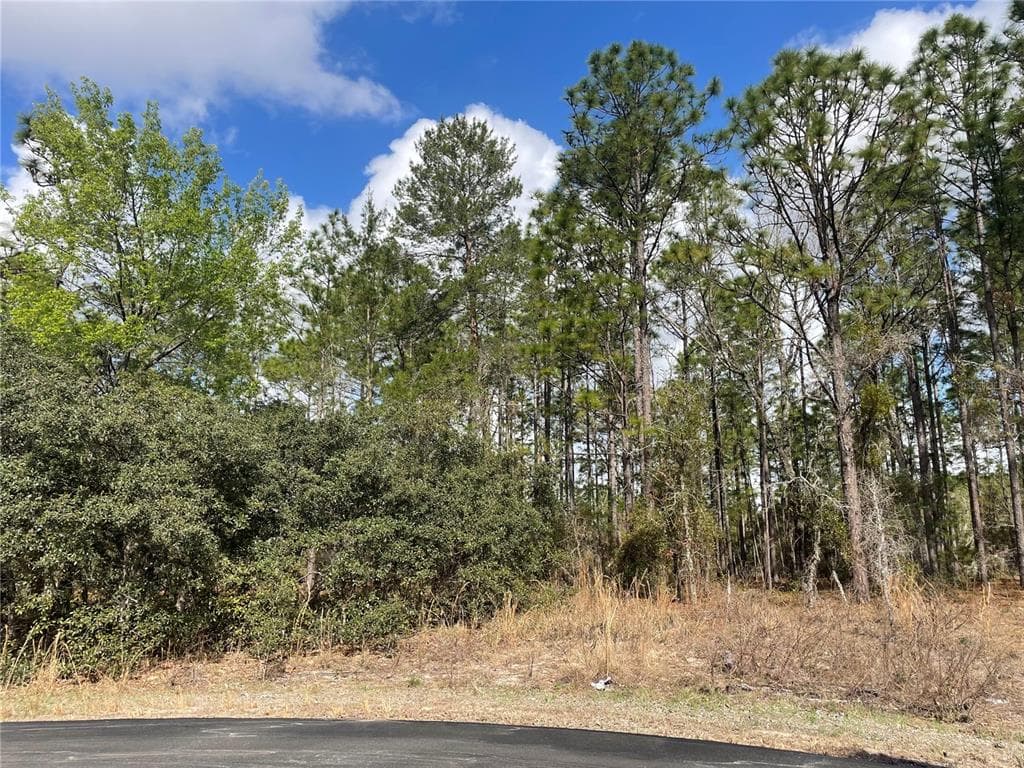 7724 N TIDE POINT CITRUS SPRINGS, FL 34433