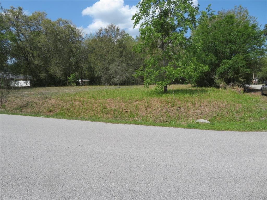 32580 GREENWOOD LOOP WESLEY CHAPEL, FL 33545