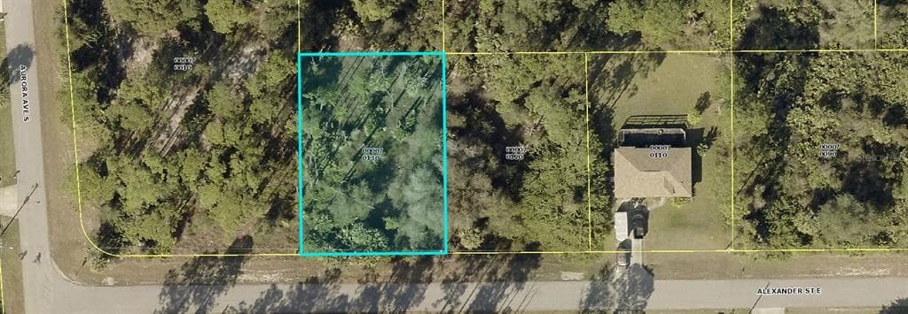911 ALEXANDER STREET LEHIGH ACRES, FL 33974