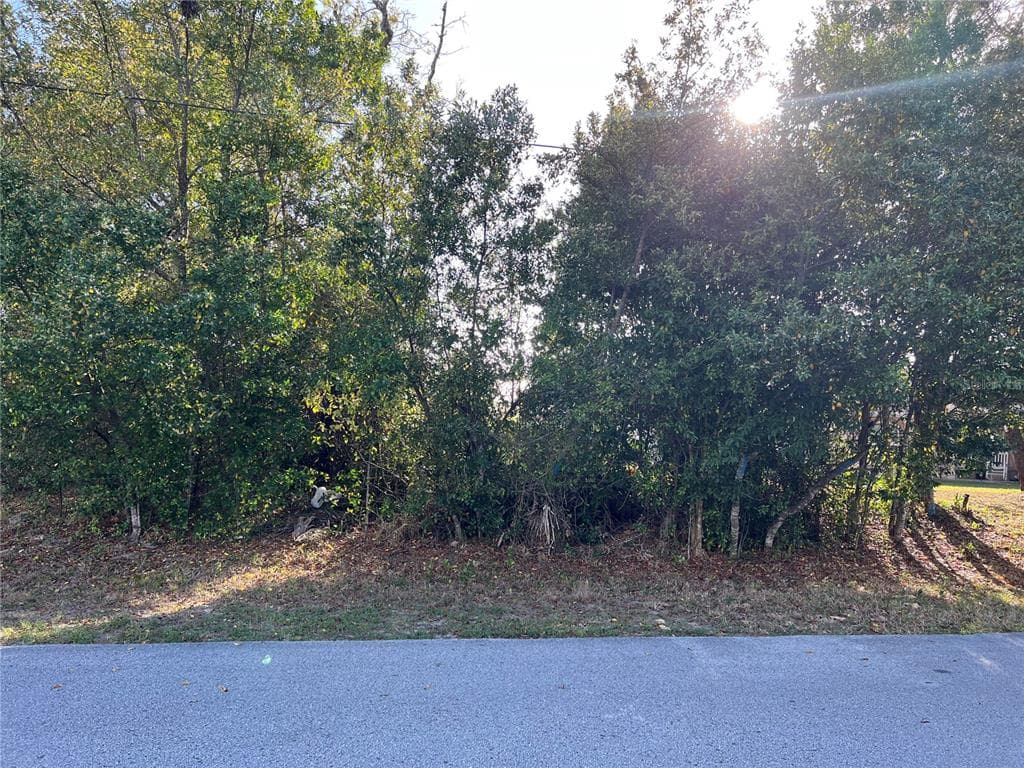 3487 ORION ROAD SPRING HILL, FL 34606