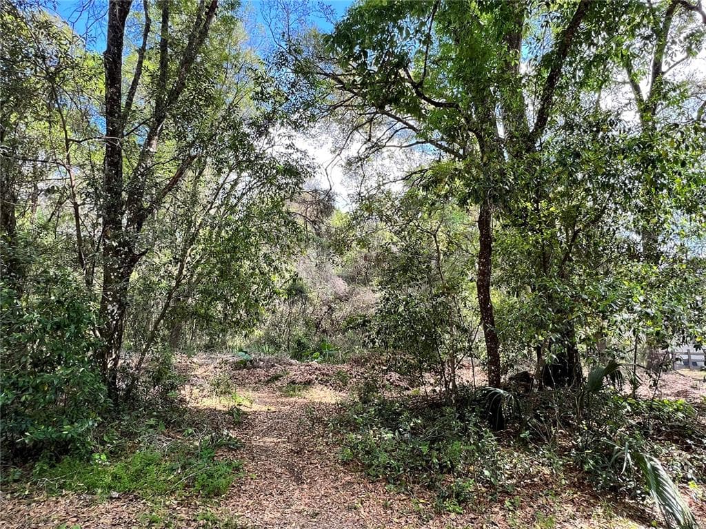 GARFIELD AVENUE BROOKSVILLE, FL 34604