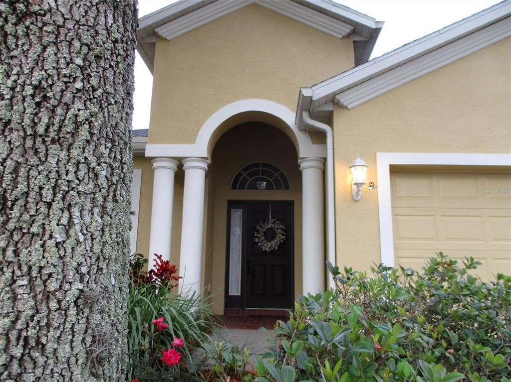 10626 RIBBON FERN WAY LAND O LAKES, FL 34638