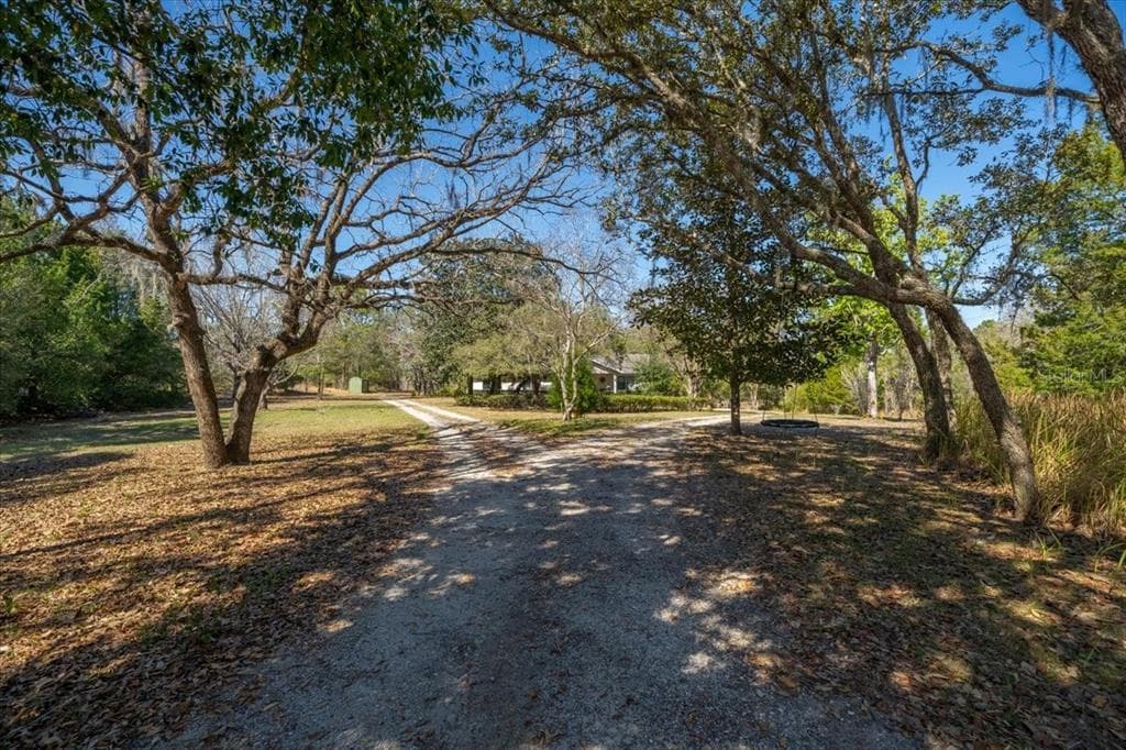 12155 ROCK DUCK AVENUE WEEKI WACHEE, FL 34614