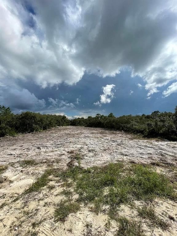 GRINDSTONE DRIVE WEBSTER, FL 33597