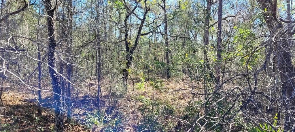 13510 DOWNY WOODPECKER ROAD BROOKSVILLE, FL 34614