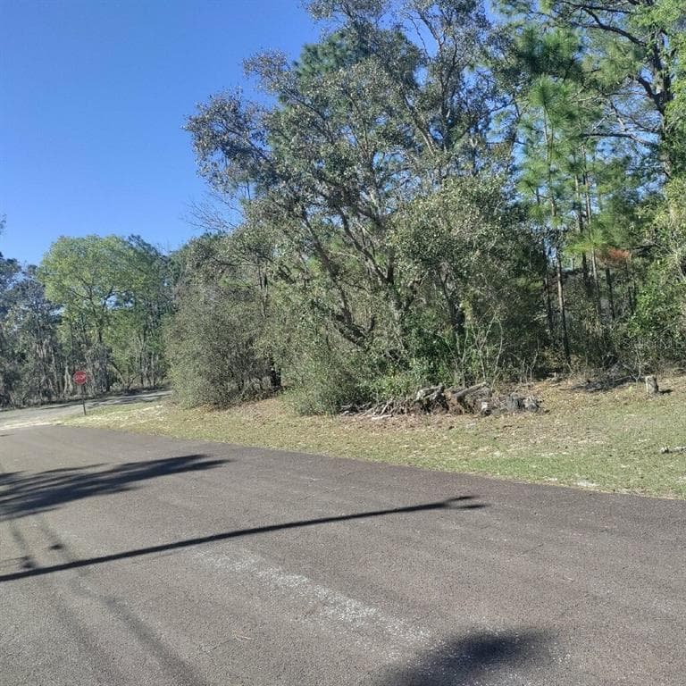 7667 N VOYAGER DRIVE CITRUS SPRINGS, FL 34433