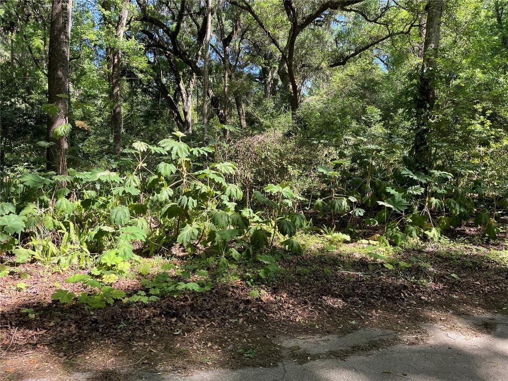2451 N JUNGLECAMP ROAD INVERNESS, FL 34453
