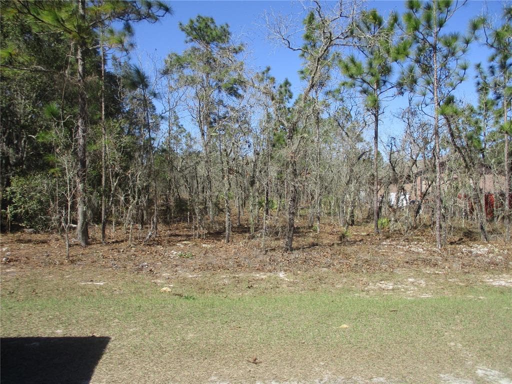 SW 88TH STREET DUNNELLON, FL 34432