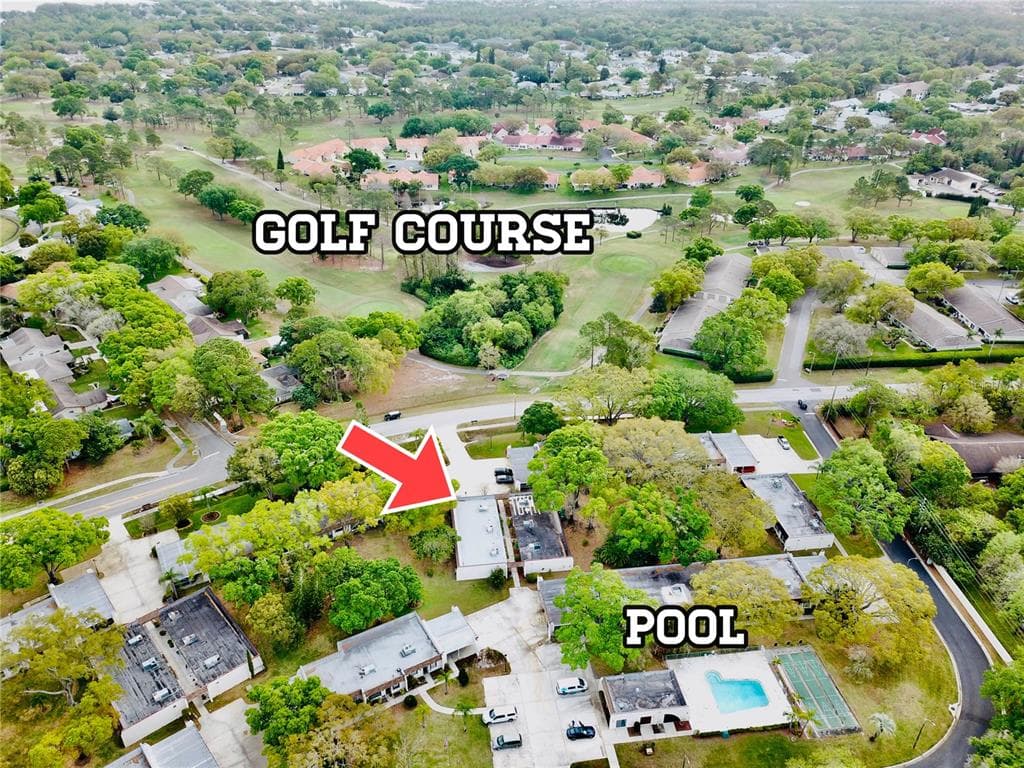 3152 HIGHLANDS BOULEVARD PALM HARBOR, FL 34684