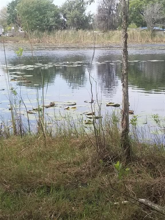 BARCELLONA ROAD LAND O LAKES, FL 34637