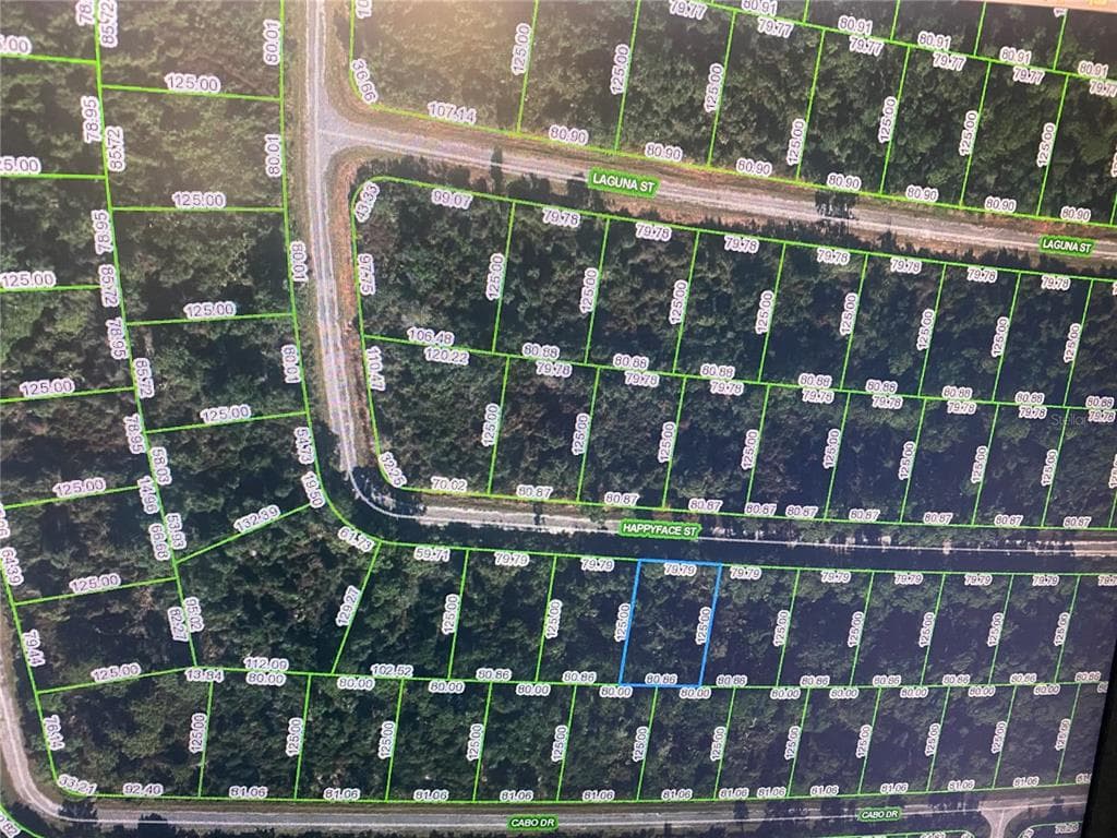 7385 HAPPYFACE STREET SEBRING, FL 33872