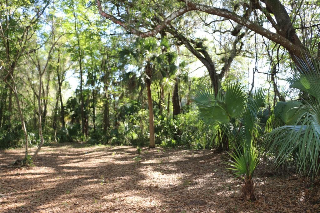 CR 434A LAKE PANASOFFKEE, FL 33538