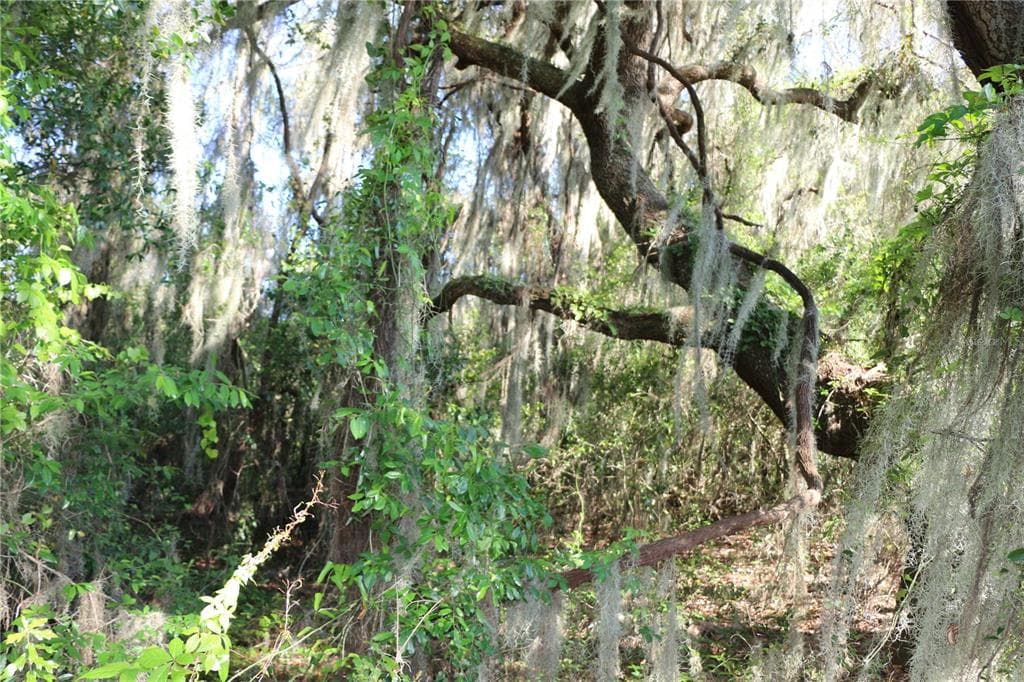 TBD CR 470 LAKE PANASOFFKEE, FL 33538