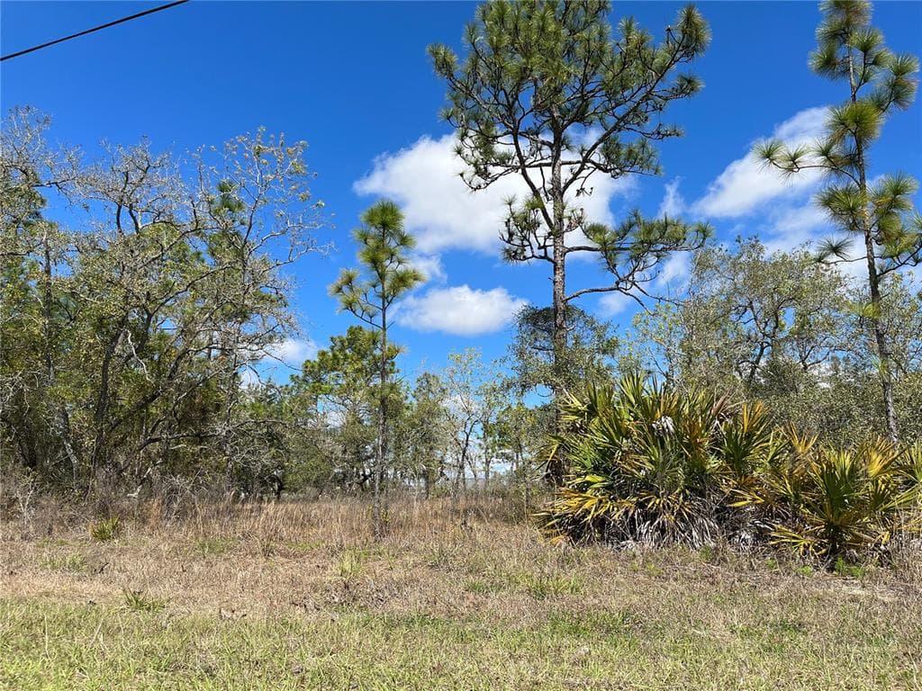 12207 MIRAGE AVENUE WEEKI WACHEE, FL 34614