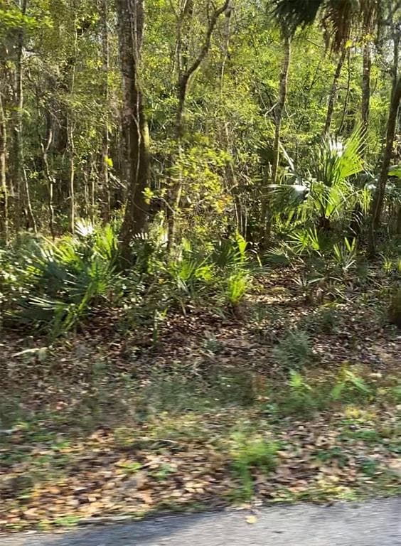 BUDOWSKI ROAD BROOKSVILLE, FL 34614