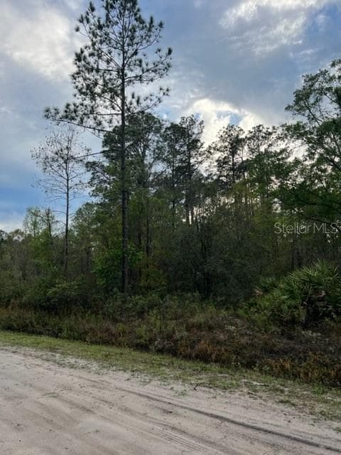 10645 WEATHERBY AVENUE HASTINGS, FL 32145