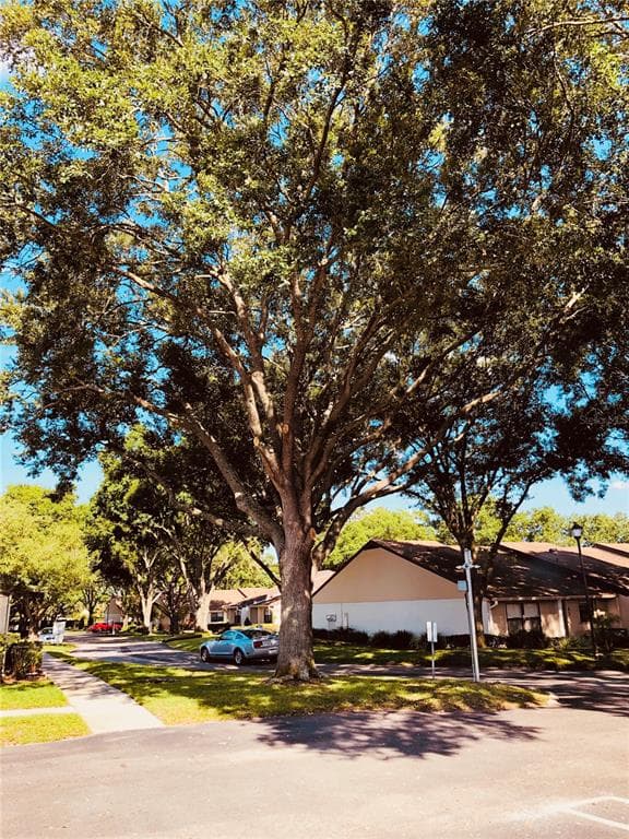 2025 SYLVESTER ROAD UNIT C3 LAKELAND, FL 33803