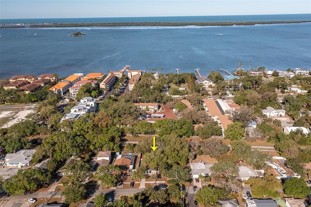1436 DOUGLAS AVENUE DUNEDIN, FL 34698