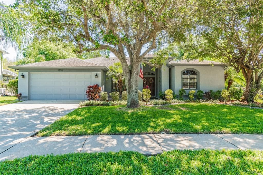 18537 BITTERN AVENUE LUTZ, FL 33558