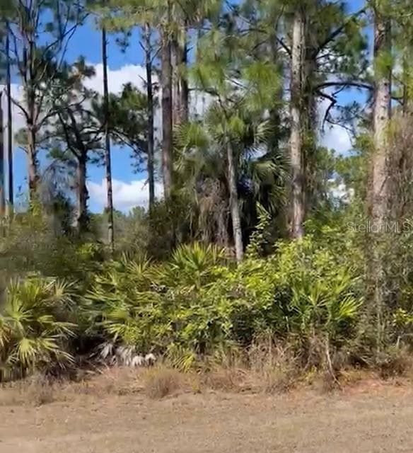 869 KIDVALE STREET E LEHIGH ACRES, FL 33974