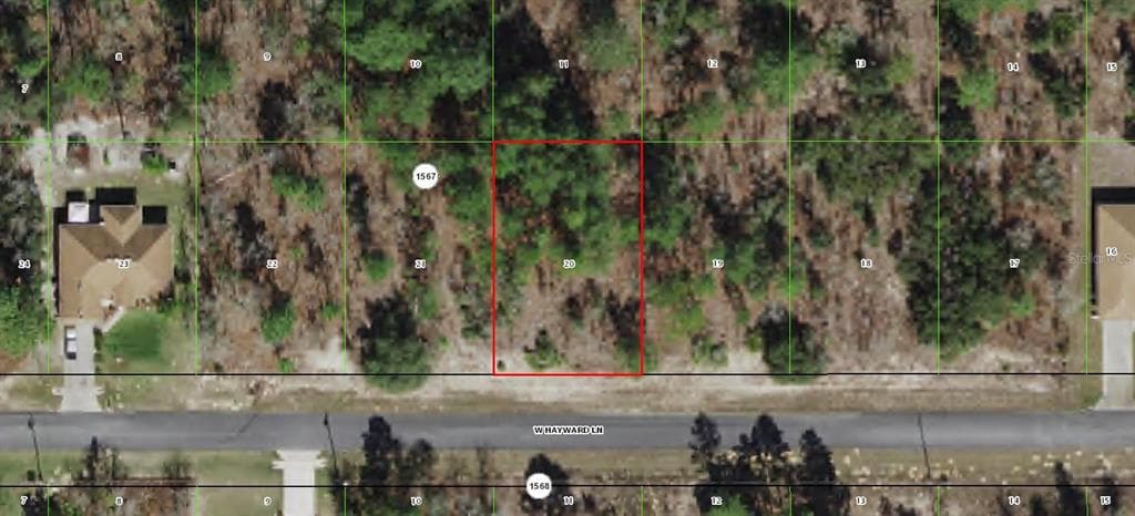3421 W HAYWARD LANE CITRUS SPRINGS, FL 34433