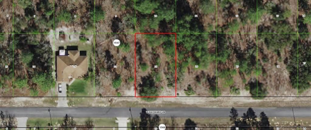 3433 W HAYWARD LANE CITRUS SPRINGS, FL 34433