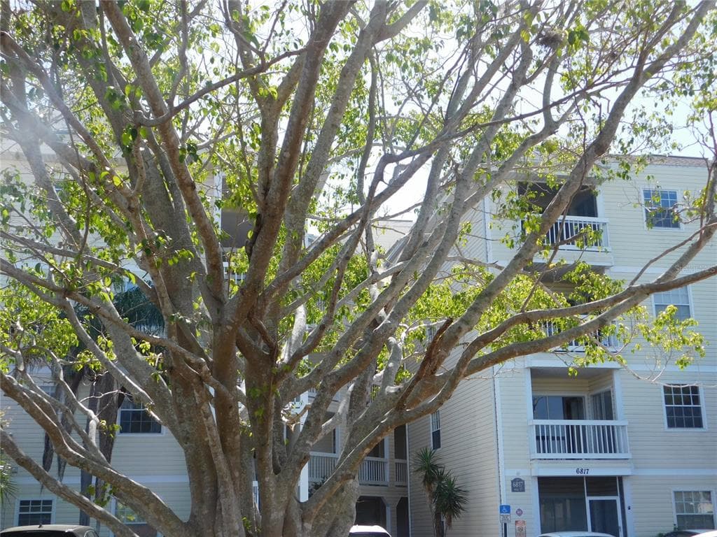 6817 STONES THROW CIRCLE N UNIT 17303 ST PETERSBURG, FL 33710