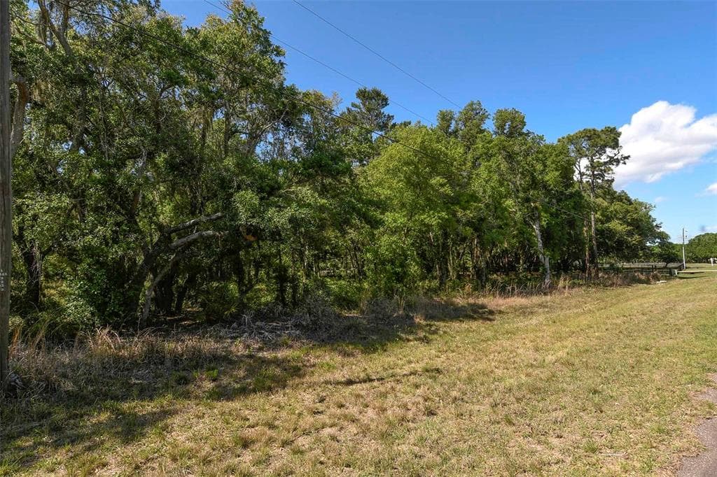 3001 PONDEROSA TRAIL WIMAUMA, FL 33598