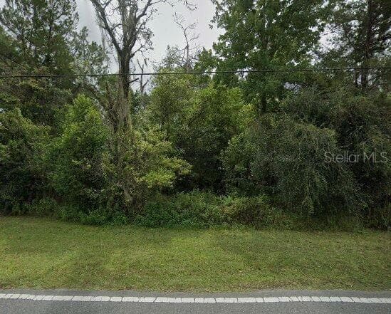 9482 NODDY TERN ROAD WEEKI WACHEE, FL 34613