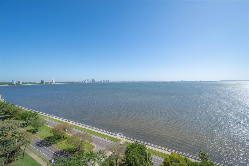 4201 BAYSHORE BOULEVARD UNIT 1402